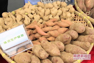 順德名優(yōu)農(nóng)產(chǎn)品展區(qū)深受市民青睞，食用農(nóng)產(chǎn)品引領健康新風尚