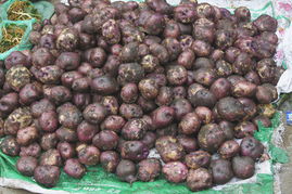 元陽縣農(nóng)產(chǎn)品信息網(wǎng) 助力食用農(nóng)產(chǎn)品走向大市場